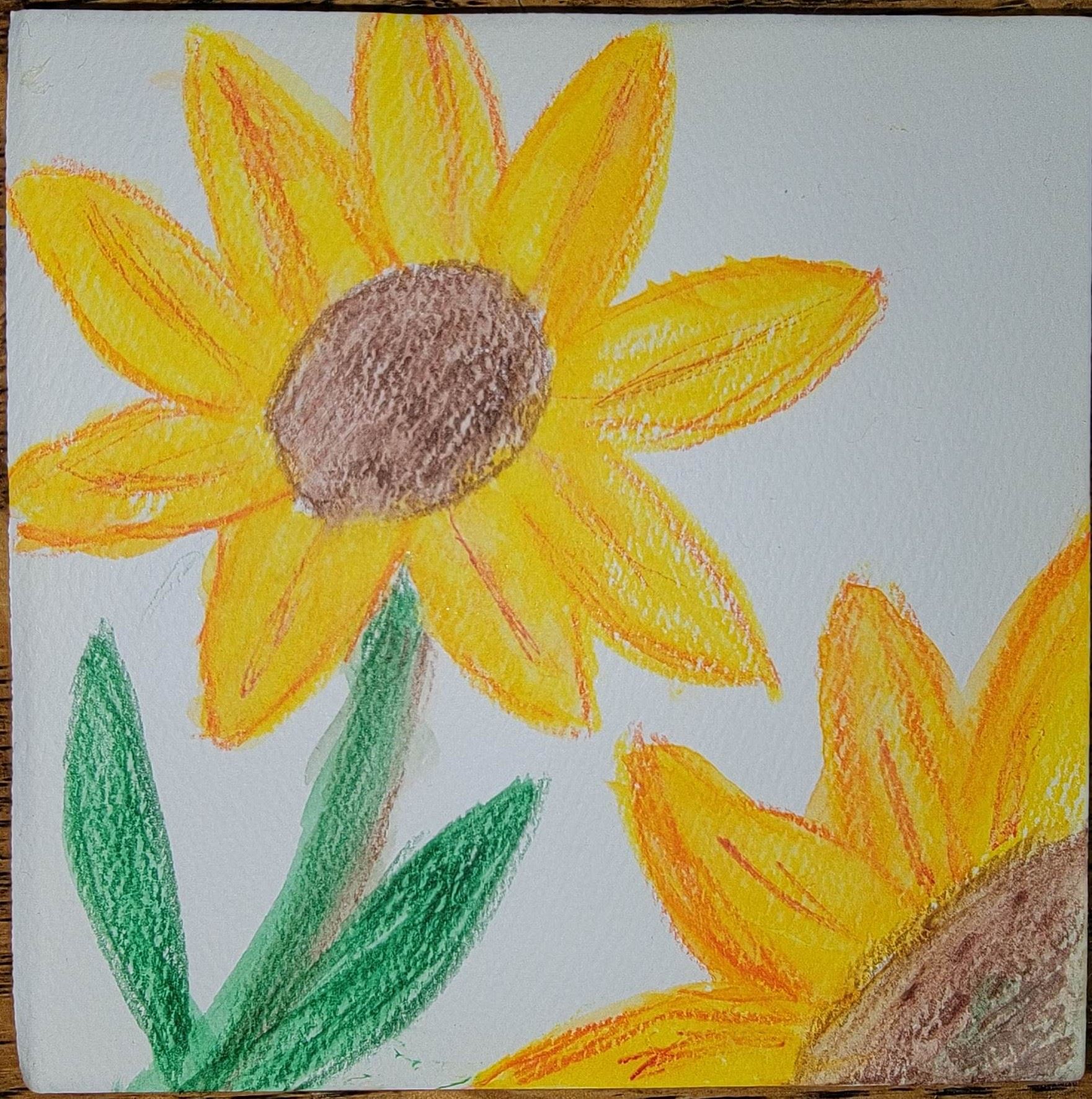 "Sunflowers" by Sharon T