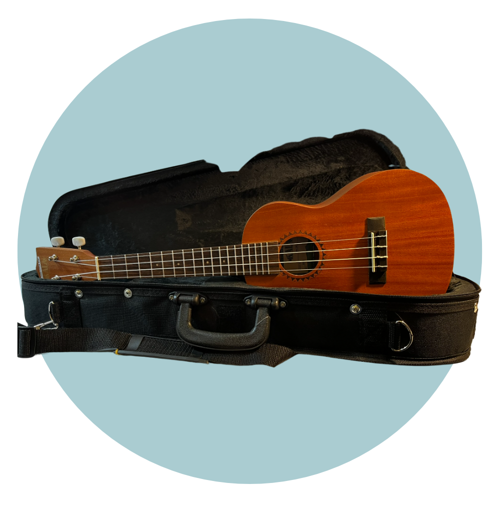Photo of ukulele kit