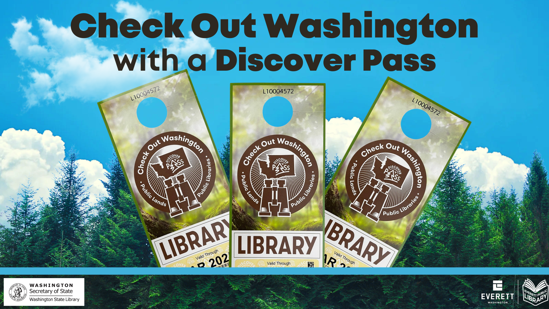 Graphic in blue and green showing blue sky, evergreen trees, and discover passes